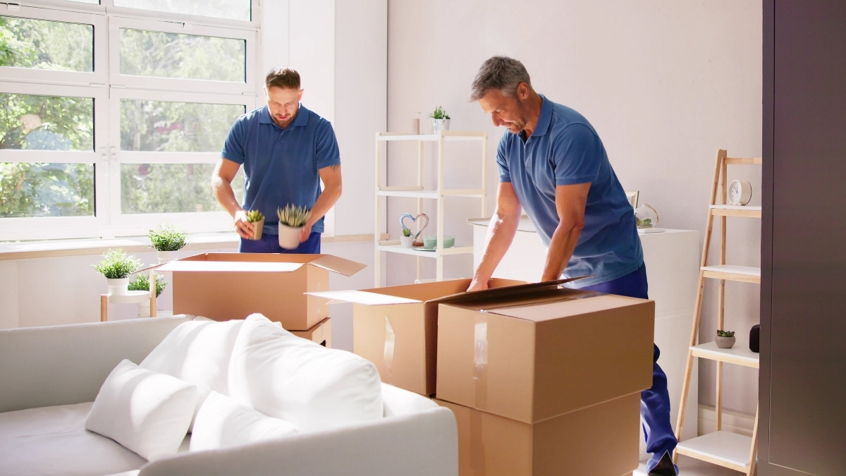 Two professional movers